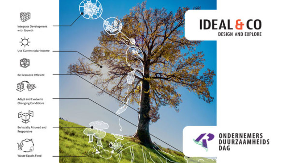 Doe de gratis circulaire quickscan bij IDEAL&CO op de Ondernemersduurzaamheidsdag op 6 februari a.s.